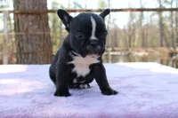 processed/01093865-f91a-4197-ac8c-c2f06b109951/listing/6915e343-d679-43a2-9c7b-67257c75590c/8d39b698-0d82-4080-baf4-34a4aa4a101e