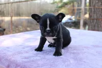 processed/01093865-f91a-4197-ac8c-c2f06b109951/listing/6915e343-d679-43a2-9c7b-67257c75590c/c75bf41f-0bce-489e-b13f-533911803b78