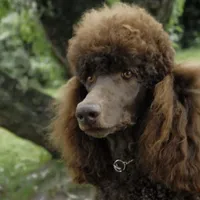 processed/01134c0c-7792-4d67-a002-6a4042c15c2a/facility/19d95318-0dab-4d34-9076-d3d4d629e438