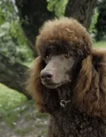 processed/01134c0c-7792-4d67-a002-6a4042c15c2a/facility/19d95318-0dab-4d34-9076-d3d4d629e438