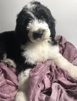 processed/01134c0c-7792-4d67-a002-6a4042c15c2a/facility/20bb73ea-30ba-47d4-bbf1-3a8fd570ee2b