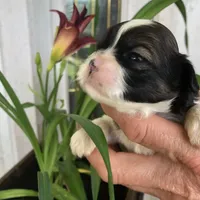 processed/01134c0c-7792-4d67-a002-6a4042c15c2a/facility/2ec1acb5-78a5-498f-ae48-f4cd2ba4aa70