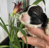 processed/01134c0c-7792-4d67-a002-6a4042c15c2a/facility/2ec1acb5-78a5-498f-ae48-f4cd2ba4aa70