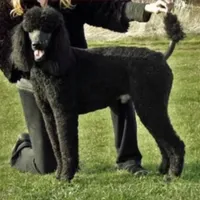 processed/01134c0c-7792-4d67-a002-6a4042c15c2a/facility/351c3e2d-1899-4b3c-abc1-3aefcce809ff