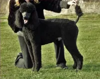 processed/01134c0c-7792-4d67-a002-6a4042c15c2a/facility/351c3e2d-1899-4b3c-abc1-3aefcce809ff