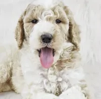 processed/01134c0c-7792-4d67-a002-6a4042c15c2a/facility/55415d5d-66b1-4cad-83a8-4343e8446092