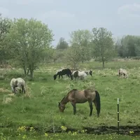 processed/01134c0c-7792-4d67-a002-6a4042c15c2a/facility/567e2b32-fef9-4fe8-9ea2-cd571c35ce34