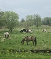 processed/01134c0c-7792-4d67-a002-6a4042c15c2a/facility/567e2b32-fef9-4fe8-9ea2-cd571c35ce34