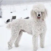 processed/01134c0c-7792-4d67-a002-6a4042c15c2a/facility/97bf3cc1-60e0-490c-bf9e-c12821f9f631