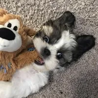 processed/01134c0c-7792-4d67-a002-6a4042c15c2a/facility/988102dc-0cab-4439-8ef6-bf8863d3fae2