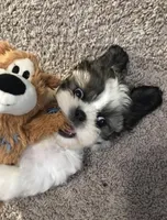 processed/01134c0c-7792-4d67-a002-6a4042c15c2a/facility/988102dc-0cab-4439-8ef6-bf8863d3fae2