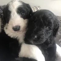 processed/01134c0c-7792-4d67-a002-6a4042c15c2a/facility/bbd4042e-b82e-496e-b796-a55a6901545a