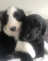 processed/01134c0c-7792-4d67-a002-6a4042c15c2a/facility/bbd4042e-b82e-496e-b796-a55a6901545a