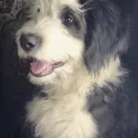 processed/01134c0c-7792-4d67-a002-6a4042c15c2a/facility/cbec8a24-f226-4572-bb20-6ff6d1804baf