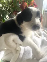 processed/01134c0c-7792-4d67-a002-6a4042c15c2a/listing/4128c5bf-2bad-434e-b01d-13d83a14b02c/25a2a179-2f2e-4730-a225-94d364a9f4a4