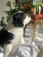 processed/01134c0c-7792-4d67-a002-6a4042c15c2a/listing/4128c5bf-2bad-434e-b01d-13d83a14b02c/37221000-cee4-4eb6-8b78-4d1e8a4a7e9e