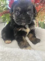 processed/01134c0c-7792-4d67-a002-6a4042c15c2a/listing/bd45f265-cdf3-47cd-9795-8a205911c33b/7f0d5a3c-d0f6-4162-8b2a-3b9b58aed651