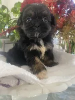 processed/01134c0c-7792-4d67-a002-6a4042c15c2a/listing/bd45f265-cdf3-47cd-9795-8a205911c33b/a1b8b28d-ce03-4b69-8fd7-0240397ae57f