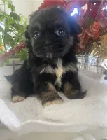 processed/01134c0c-7792-4d67-a002-6a4042c15c2a/listing/bd45f265-cdf3-47cd-9795-8a205911c33b/ab47ae04-f082-492d-9622-81e23420179b