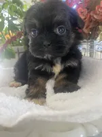 processed/01134c0c-7792-4d67-a002-6a4042c15c2a/listing/bd45f265-cdf3-47cd-9795-8a205911c33b/ad2e874a-7663-4fa3-a45e-8ad39cd3c401