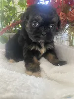 processed/01134c0c-7792-4d67-a002-6a4042c15c2a/listing/bd45f265-cdf3-47cd-9795-8a205911c33b/ccd1be7b-1727-4033-8eeb-5fa21dbfe670