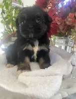 processed/01134c0c-7792-4d67-a002-6a4042c15c2a/listing/bd45f265-cdf3-47cd-9795-8a205911c33b/f3059c12-843d-43c4-a66b-b99ae5102d9a