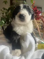 processed/01134c0c-7792-4d67-a002-6a4042c15c2a/listing/ef49c05b-64e4-448b-9524-46f6fa27edf7/39f3dafb-8c6e-42a7-8fe9-a1905e807fad