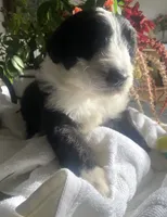 processed/01134c0c-7792-4d67-a002-6a4042c15c2a/listing/ef49c05b-64e4-448b-9524-46f6fa27edf7/6d78198a-984d-4dc6-b425-dbdce911c642