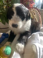 processed/01134c0c-7792-4d67-a002-6a4042c15c2a/listing/ef49c05b-64e4-448b-9524-46f6fa27edf7/760df3cf-3bec-4f1f-ae7f-2524661cf7c0