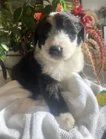 processed/01134c0c-7792-4d67-a002-6a4042c15c2a/listing/ef49c05b-64e4-448b-9524-46f6fa27edf7/7906fec9-870f-4fe5-8daf-3cbd7f4c8d4e