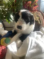 processed/01134c0c-7792-4d67-a002-6a4042c15c2a/listing/ef49c05b-64e4-448b-9524-46f6fa27edf7/8e65796e-6d61-411a-892e-9562cb4ad6c8