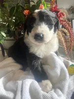 processed/01134c0c-7792-4d67-a002-6a4042c15c2a/listing/ef49c05b-64e4-448b-9524-46f6fa27edf7/a5aa6b98-44e3-415e-87a5-e4241a99877e