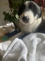 processed/01134c0c-7792-4d67-a002-6a4042c15c2a/listing/ef49c05b-64e4-448b-9524-46f6fa27edf7/e9cef50c-a71f-4f06-8cdd-b9f33f91ad53