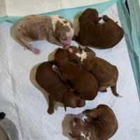 processed/0114bd3c-3825-4b13-b17c-22e92011358a/facility/08d484f1-a231-4a04-ad4d-6a4c309b90b4