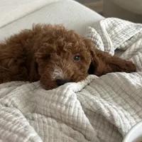 processed/0114bd3c-3825-4b13-b17c-22e92011358a/facility/6cdb93d7-b79d-4c25-aea0-23735d9243c5