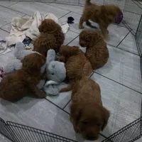 processed/0114bd3c-3825-4b13-b17c-22e92011358a/facility/6f193f45-3945-46c4-aa4a-2675fcdec8d0