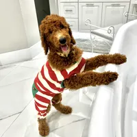 processed/0114bd3c-3825-4b13-b17c-22e92011358a/facility/77902c05-4ba1-42a6-9007-b6c833e52020