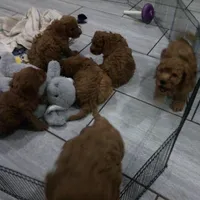 processed/0114bd3c-3825-4b13-b17c-22e92011358a/facility/9a6d447e-0c31-40ea-aa15-68ede99def19