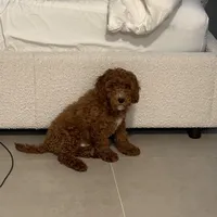 processed/0114bd3c-3825-4b13-b17c-22e92011358a/facility/b42c807f-682a-4963-a040-6a6ed26cd963