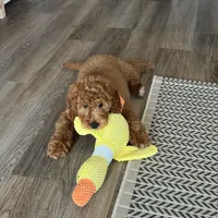 processed/0114bd3c-3825-4b13-b17c-22e92011358a/facility/ee4e10c3-988a-41b2-8fae-b59d22596e69