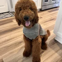 processed/0114bd3c-3825-4b13-b17c-22e92011358a/facility/fbe67d5a-29f0-415d-ac0f-3ee0d4e56c04