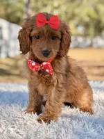 processed/0114bd3c-3825-4b13-b17c-22e92011358a/listing/3f5716bc-dad1-4864-b15d-2e34c24cb26e/93a26540-bc2d-489c-b1b9-420dcd21ac0c