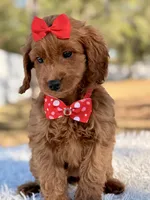 processed/0114bd3c-3825-4b13-b17c-22e92011358a/listing/3f5716bc-dad1-4864-b15d-2e34c24cb26e/9c86d467-2a30-4b89-8b70-a547c38bc7b1