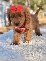 processed/0114bd3c-3825-4b13-b17c-22e92011358a/listing/43e3fd01-918b-4618-8b5f-e9fff42794f1/2b95e5f7-e90d-4204-96c2-fdf00966214c