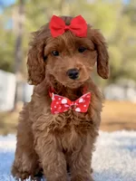 processed/0114bd3c-3825-4b13-b17c-22e92011358a/listing/43e3fd01-918b-4618-8b5f-e9fff42794f1/56a44a87-1d4e-423f-badd-be48071adb88