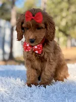 processed/0114bd3c-3825-4b13-b17c-22e92011358a/listing/43e3fd01-918b-4618-8b5f-e9fff42794f1/e16876f5-0f0a-458d-8ac7-e1409b0f44cb