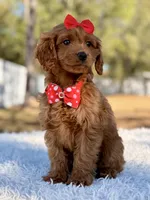 processed/0114bd3c-3825-4b13-b17c-22e92011358a/listing/43e3fd01-918b-4618-8b5f-e9fff42794f1/e83fe5b4-2a37-48e6-a0a7-e826c09c8061