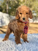 processed/0114bd3c-3825-4b13-b17c-22e92011358a/listing/88ee60d8-8bef-4097-9a85-33fed242c343/478610c3-e73f-443a-92d9-e3d42993afa4