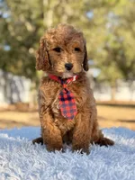 processed/0114bd3c-3825-4b13-b17c-22e92011358a/listing/88ee60d8-8bef-4097-9a85-33fed242c343/692560f4-8483-4835-83e5-4fc6fe00f04b