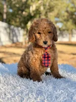 processed/0114bd3c-3825-4b13-b17c-22e92011358a/listing/88ee60d8-8bef-4097-9a85-33fed242c343/6e560b55-e6e6-49f4-b066-2034a8b2475a